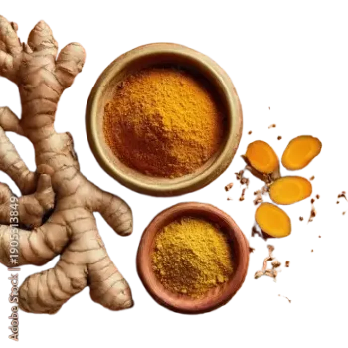 haldi_powder-removebg-preview